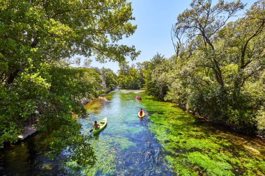 Fontaine de Vaucluse'daki Sorgue Nehri'nde kayaklar. Vaucluse, Provence, Fransa, Avrupa