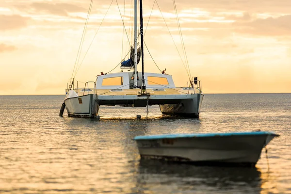 Katamaran, baltık denizinin su yüzeyinde alacakaranlıkta süzülür. Altın güneşe yelken açmak