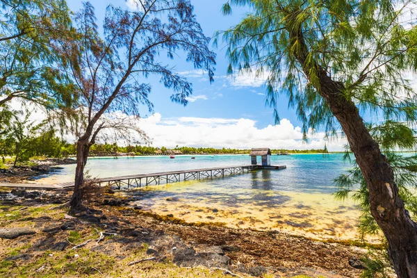 Belle Mare Beach Mauritius — Stock Fotó