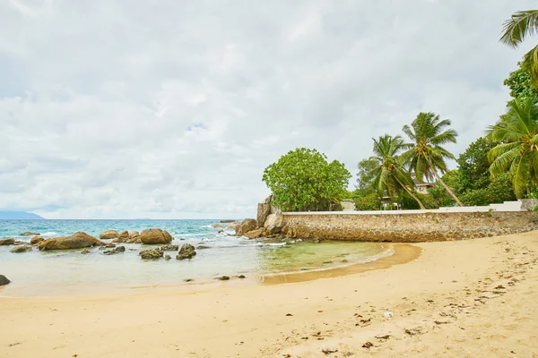 Mooi strand met rotsen en palmboom op Mahe (in de buurt van Bay Beau — Stockfoto