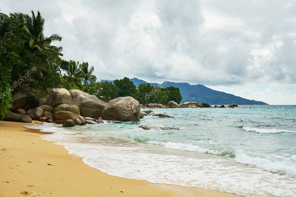 Beautiful beach with rocks and palm tree at Mahe (Near Bay Beau vallon), Seychelles
