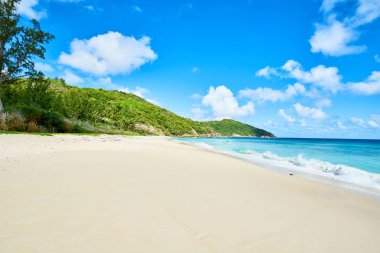 tropikal Beach Police Bay (beyaz kum ve turkuaz deniz) , güney