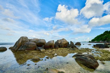 mahe, Seyşeller plaj kuzeyinde tropikal plaj Anse Nord Est