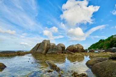 mahe, Seyşeller plaj kuzeyinde tropikal plaj Anse Nord Est