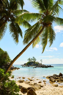 Küçük granit Mouse adası (Ile Souris), Anse Royal plajı, Mahe adası, Seyşeller, Hint Okyanusu