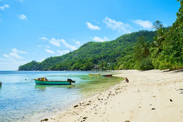 anse marie louise, mahe tropik plaj, seyşeller üzerinde görünümü