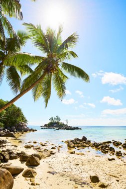 Küçük granit Mouse adası (Ile Souris), Anse Royal plajı, Mahe adası, Seyşeller, Hint Okyanusu