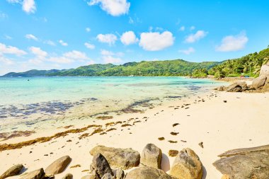 tropik sahil anse Royale'de Adası mahe, Seyşel Adaları - tatil arka plan