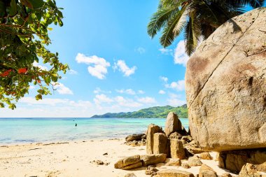 tropik sahil anse Royale'de Adası mahe, Seyşel Adaları - tatil arka plan