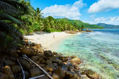 Seyşeller'de tropikal plaj, mahe'nin güneyinde, Petite marie louise körfezi