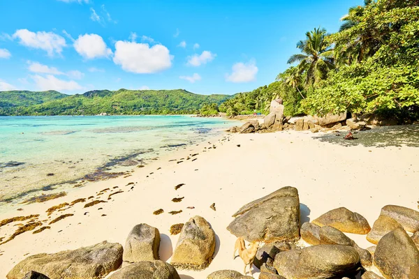 Playa tropical Anse Royale en la isla Mahe, Seychelles - fondo de vacaciones — Foto de Stock