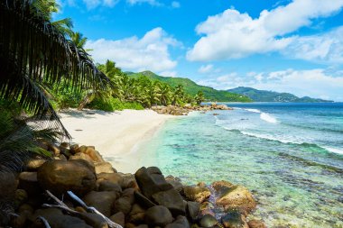 Seyşeller'de tropikal plaj, mahe'nin güneyinde, Petite marie louise körfezi