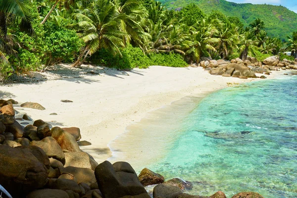 Seyşeller'de tropikal plaj, mahe'nin güneyinde, Petite marie louise körfezi