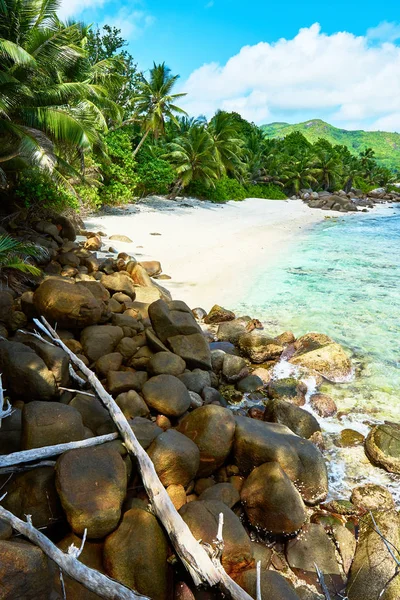 Tropisch strand op de Seychellen, ten zuiden van Mahe, Petite Marie Louise Bay — Stockfoto