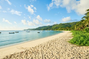 tropik plaj Anse Royale ada Mahe, Seyşeller - tatil