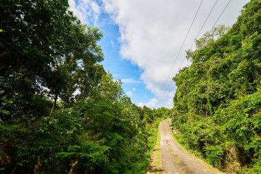 Cap Ternay Road, Seyşeller