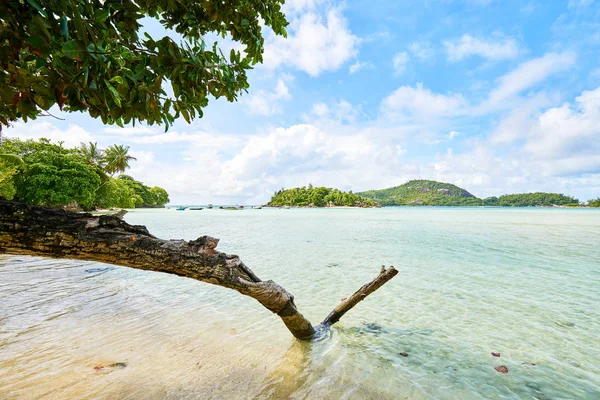 Tropisch strand van Anse L'islette (Port Launey Road), Mahe Seychelles — Stockfoto