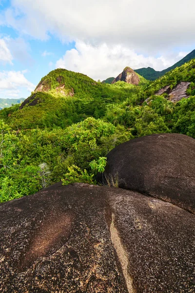 Anse ana patikası, Mahe ve Seyşeller 'in doğa yolunda yürüyüş. — Stok fotoğraf