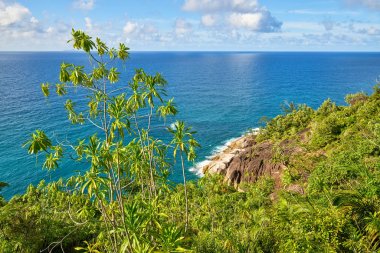 Anse ana patikası, Mahe ve Seyşeller 'in doğa yolunda yürüyüş.