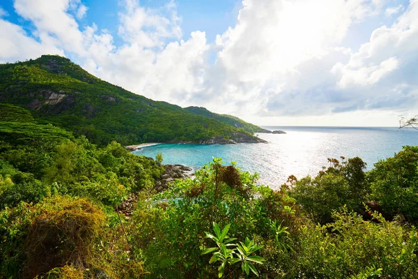 Anse grote pad, wandelen op natuurpad van Mahe, Seychellen — Stockfoto