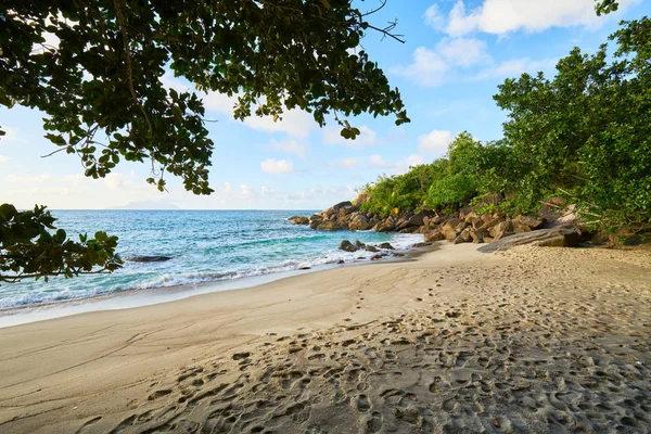 Anse major beach, mahe, seychellen — Stockfoto