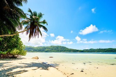 Anse a La Mouche - Seyşeller tropikal ada Mahe Paradise plaj