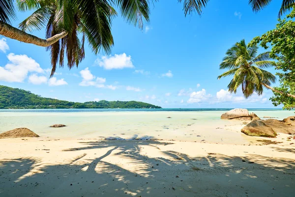 Anse a la Mouche-Paradise Beach op tropisch eiland Mahe in Seychellen — Stockfoto