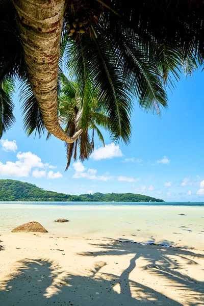 Anse a La Mouche - Playa paradisíaca en isla tropical Mahe en Seychelles — Foto de Stock