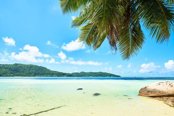 Anse a la Mouche-Paradise Beach op tropisch eiland Mahe in Seychellen — Stockfoto