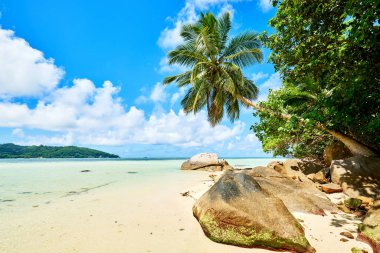 Anse a La Mouche - Se 'deki tropikal ada Mahé' deki Cennet Sahili