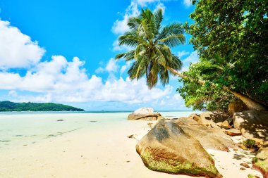 Anse a La Mouche - Seyşeller tropikal ada Mahe Paradise plaj