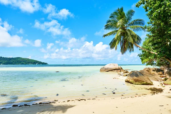 Anse a la Mouche-Paradise Beach op tropisch eiland mAh in Seychellen — Stockfoto