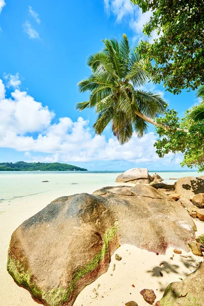 Anse a la Mouche-Paradise Beach op tropisch eiland mAh in Seychellen — Stockfoto