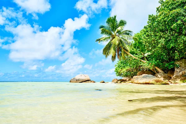 Anse a la Mouche-Paradise Beach op tropisch eiland Mahe in Seychellen — Stockfoto