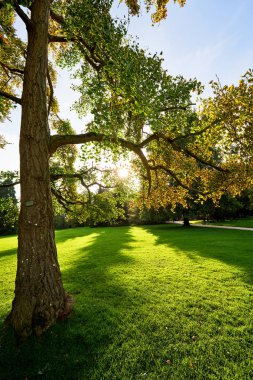 thabor park manzarası, Rennes city, Fransa