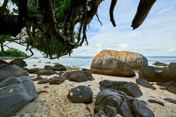 Praia tropical Anse Nord Est no norte de Mahe, praia de Seychelles — Fotografia de Stock