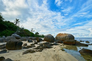 mahe kuzeyinde tropikal plaj Anse Nord Est, Seyşeller olmak