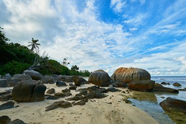 mahe kuzeyinde tropikal plaj Anse Nord Est, Seyşeller olmak