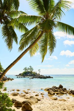 Küçük granit Mouse adası (Ile Souris), Anse Royal plajı, Mahe adası, Seyşeller, Hint Okyanusu