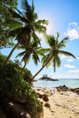 Küçük granit Mouse adası (Ile Souris), Anse Royal plajı, Mahe adası, Seyşeller, Hint Okyanusu