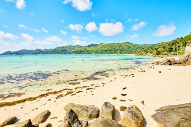 tropik sahil anse Royale'de Adası mahe, Seyşel Adaları - tatil arka plan