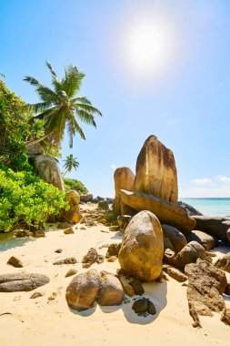 Küçük granit Mouse adası (Ile Souris), Anse Royal plajı, güzel plaj seychelle, Mahe