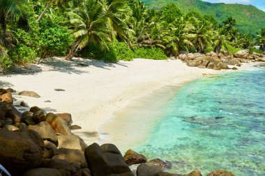 Seyşeller'de tropikal plaj, mahe'nin güneyinde, Petite marie louise körfezi