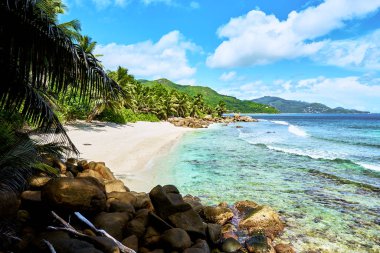 Seyşeller'de tropikal plaj, mahe'nin güneyinde, Petite marie louise körfezi