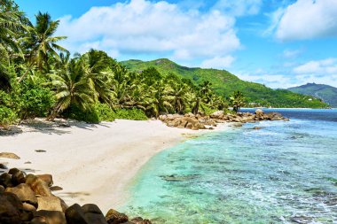 Seyşeller'de tropikal plaj, mahe'nin güneyinde, Petite marie louise körfezi