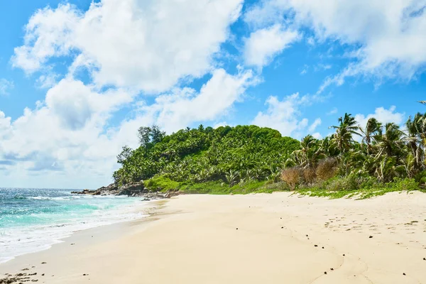 아름다운 낙원 해변 안세 바자르카. 하얀 모래, 청록색 물, 야자수, 화강암 바위, 세이셸 — 스톡 사진