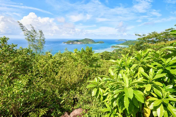 Widok na wyspę Therese z Sans Soucis Road (panoramiczny punkt widzenia) — Zdjęcie stockowe