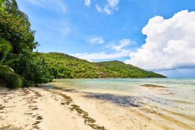 Bay Ternay & Cap Ternay Plajı, Deniz Ulusal Parkı, Mahe, Seyşeller