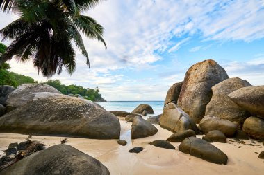 tropik plaj Seyşeller denilen 