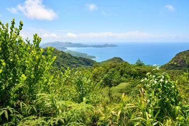 Mahe Seyşeller dağları nın manzarası
